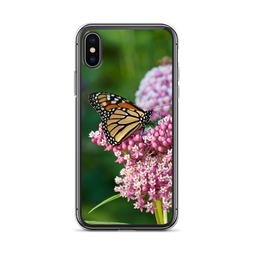 Monarch on Milkweed Phone Case for iPhone