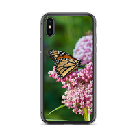 Monarch on Milkweed Phone Case for iPhone
