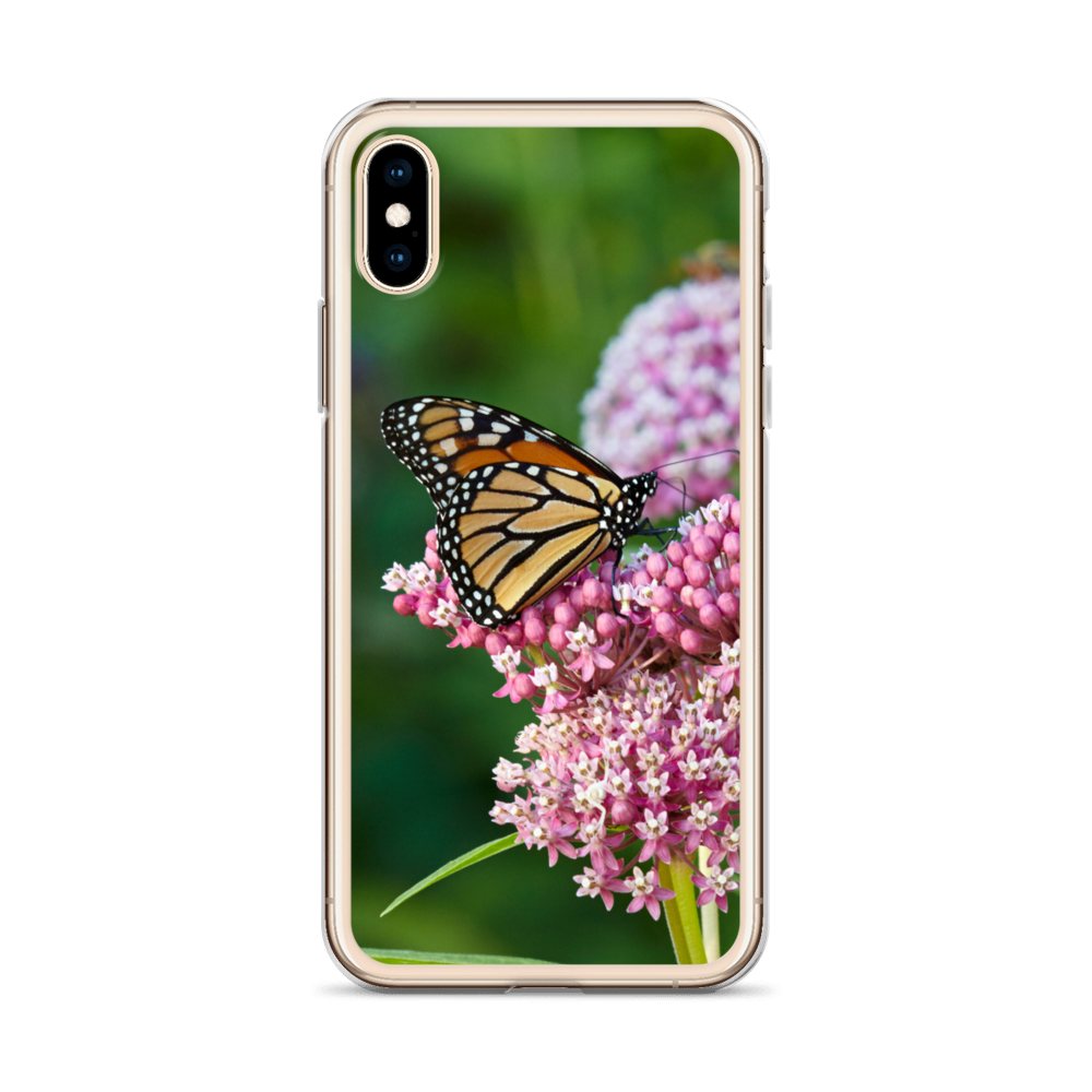 Monarch on Milkweed Phone Case for iPhone