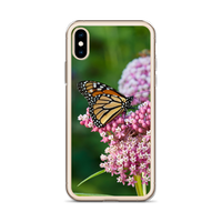 Monarch on Milkweed Phone Case for iPhone