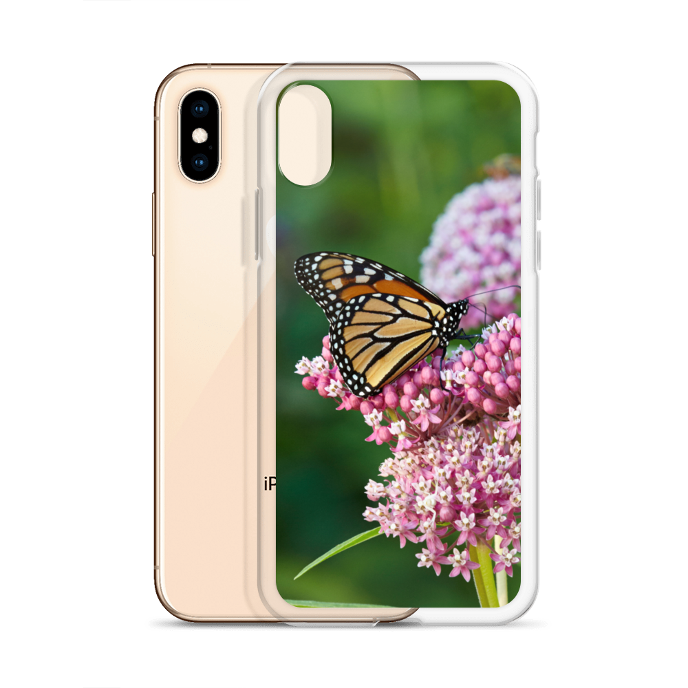 Monarch on Milkweed Phone Case for iPhone