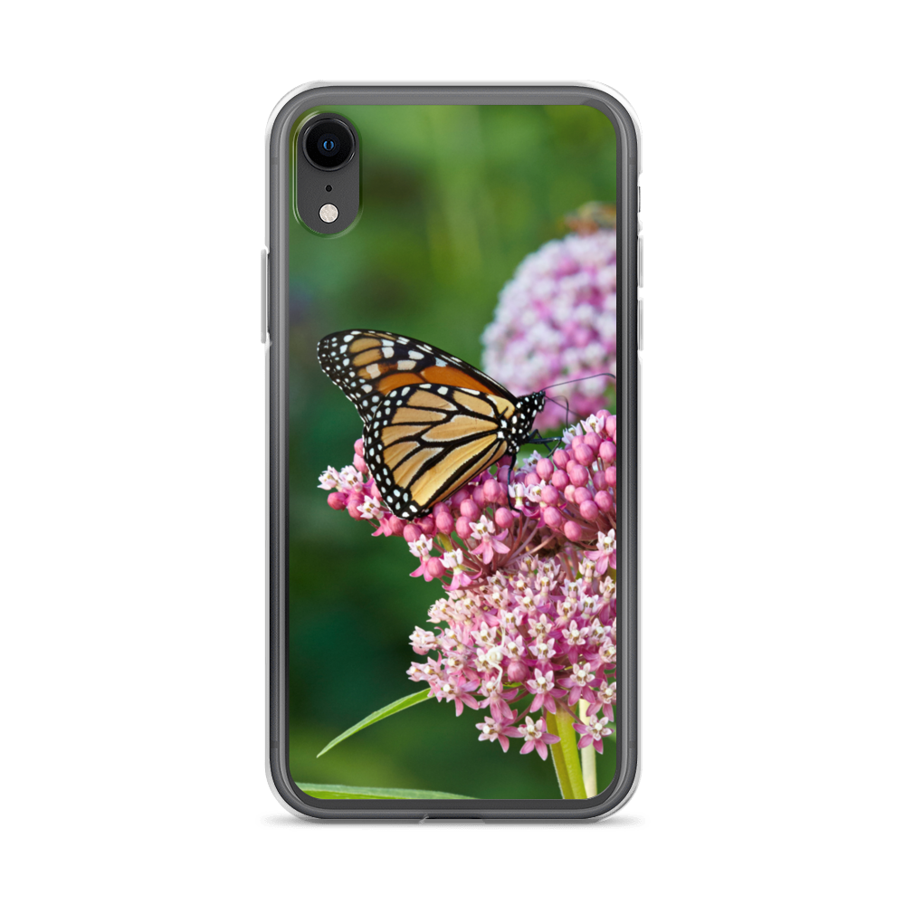 Monarch on Milkweed Phone Case for iPhone