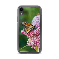 Monarch on Milkweed Phone Case for iPhone