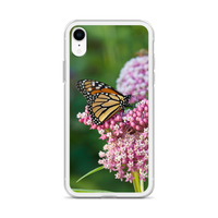 Monarch on Milkweed Phone Case for iPhone