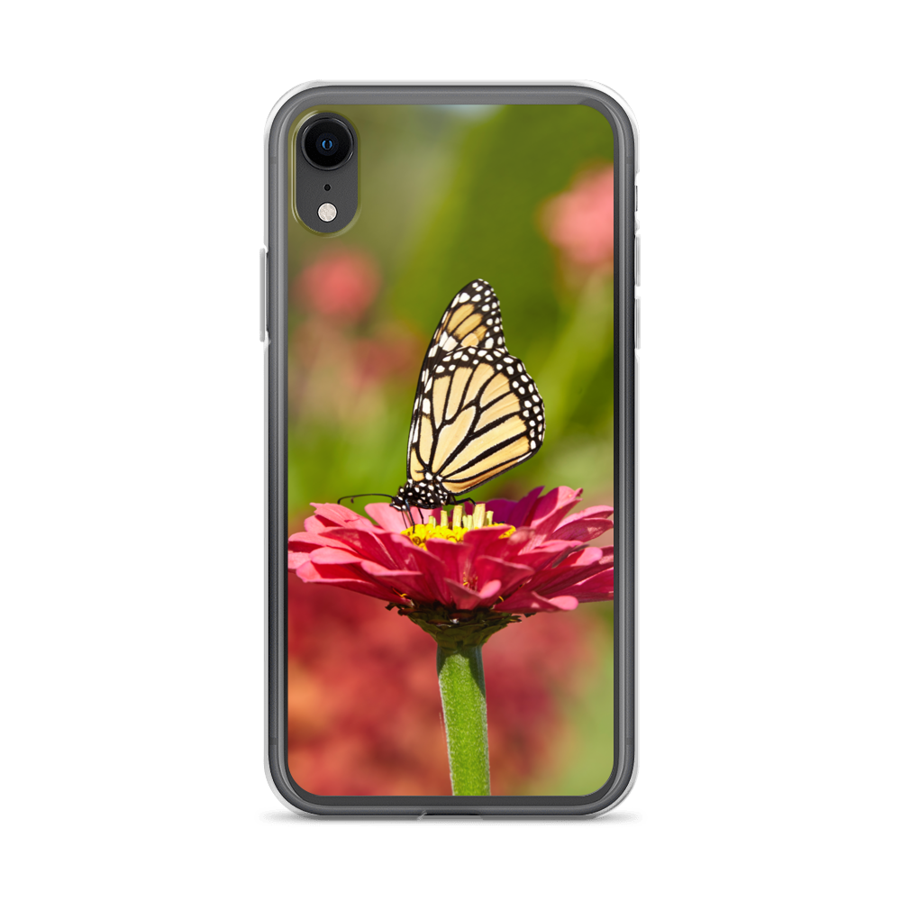 Monarch on Pink Zinnia Case for iPhone
