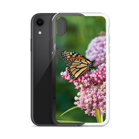 Monarch on Milkweed Phone Case for iPhone