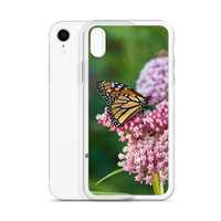 Monarch on Milkweed Phone Case for iPhone