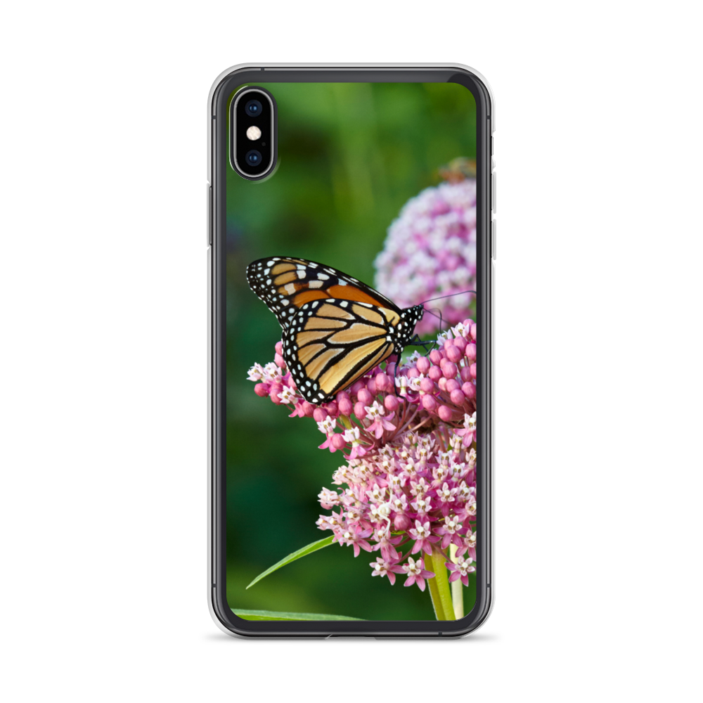 Monarch on Milkweed Phone Case for iPhone