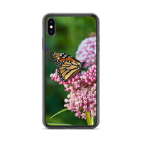 Monarch on Milkweed Phone Case for iPhone