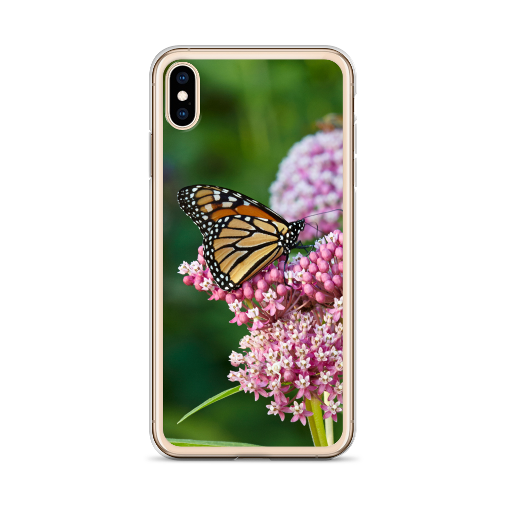 Monarch on Milkweed Phone Case for iPhone