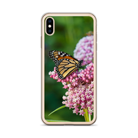 Monarch on Milkweed Phone Case for iPhone