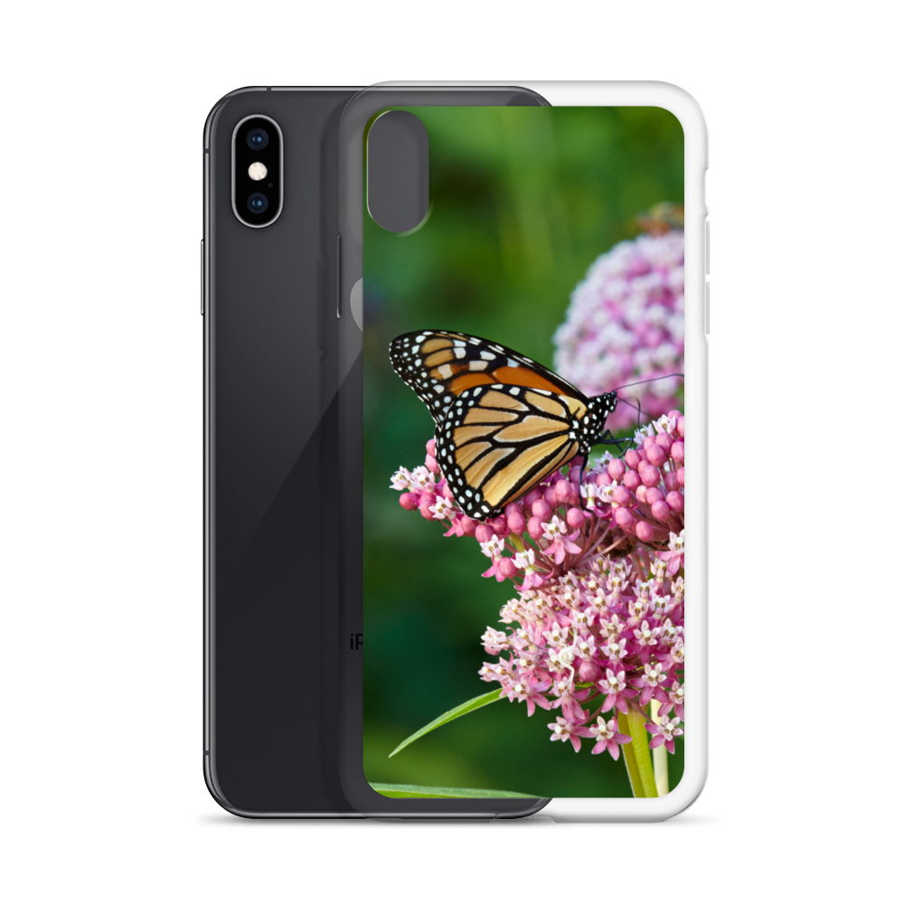 Monarch on Milkweed Phone Case for iPhone