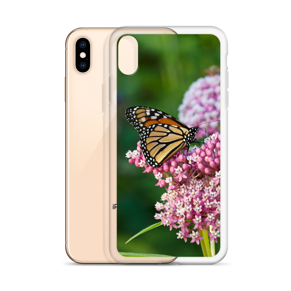 Monarch on Milkweed Phone Case for iPhone