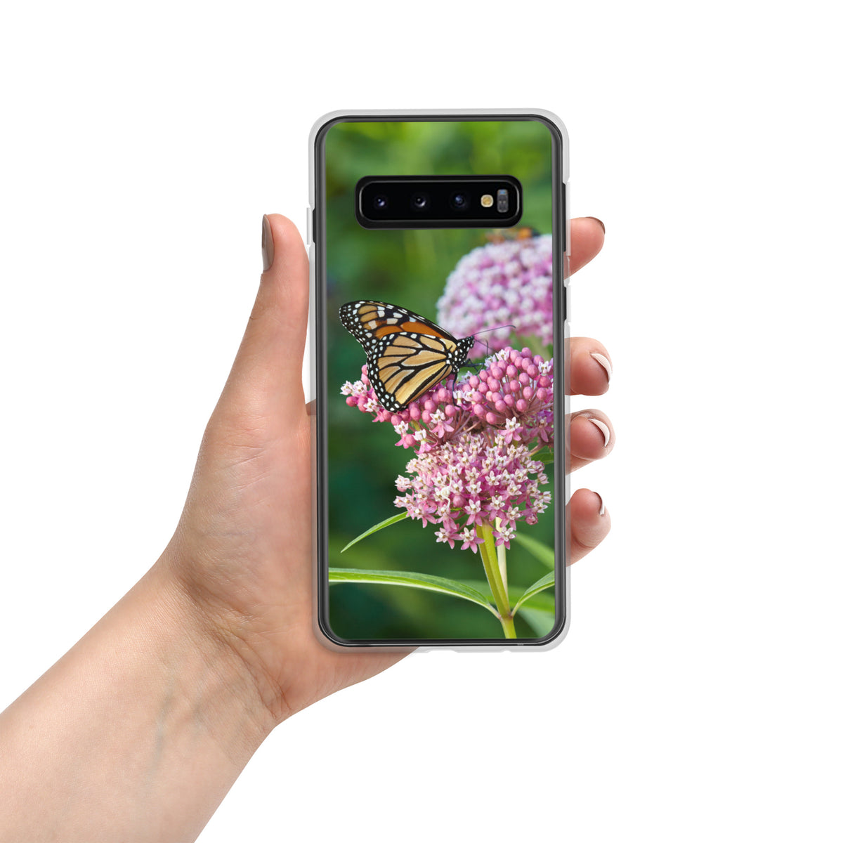 Monarch on Milkweed Samsung Phone Case
