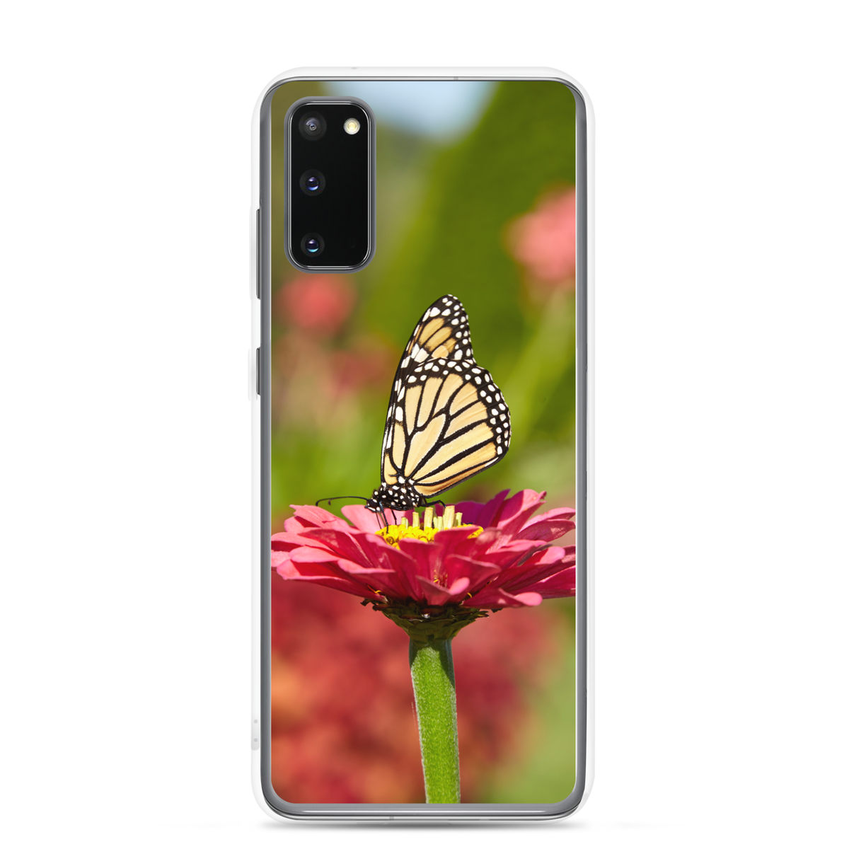 Monarch on Pink Zinnia Clear Case for Samsung