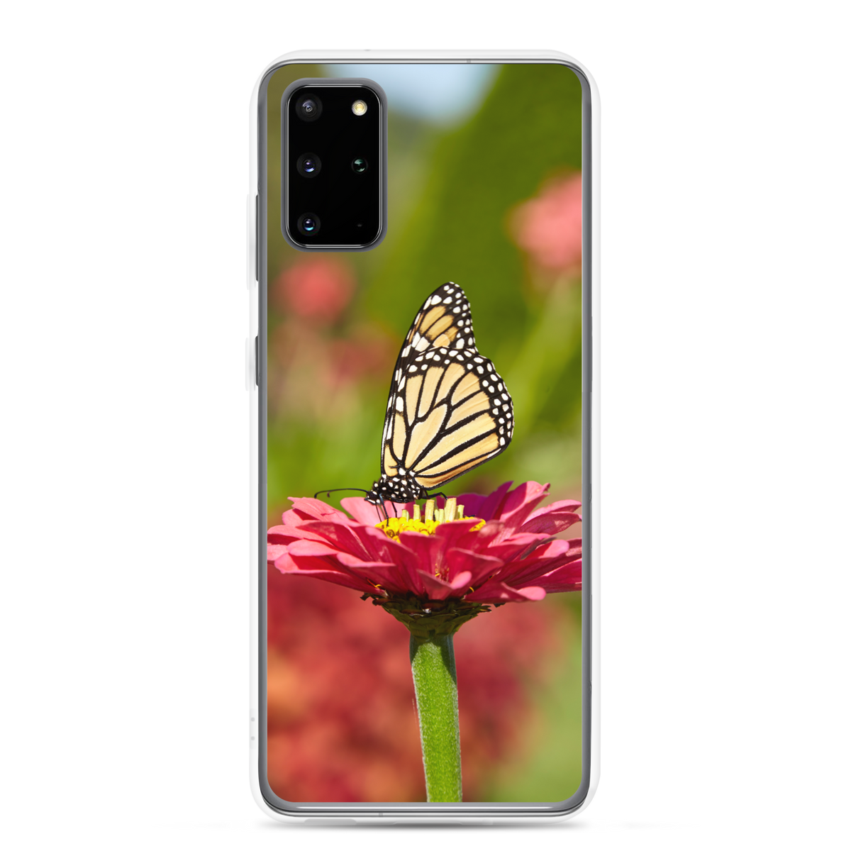 Monarch on Pink Zinnia Clear Case for Samsung