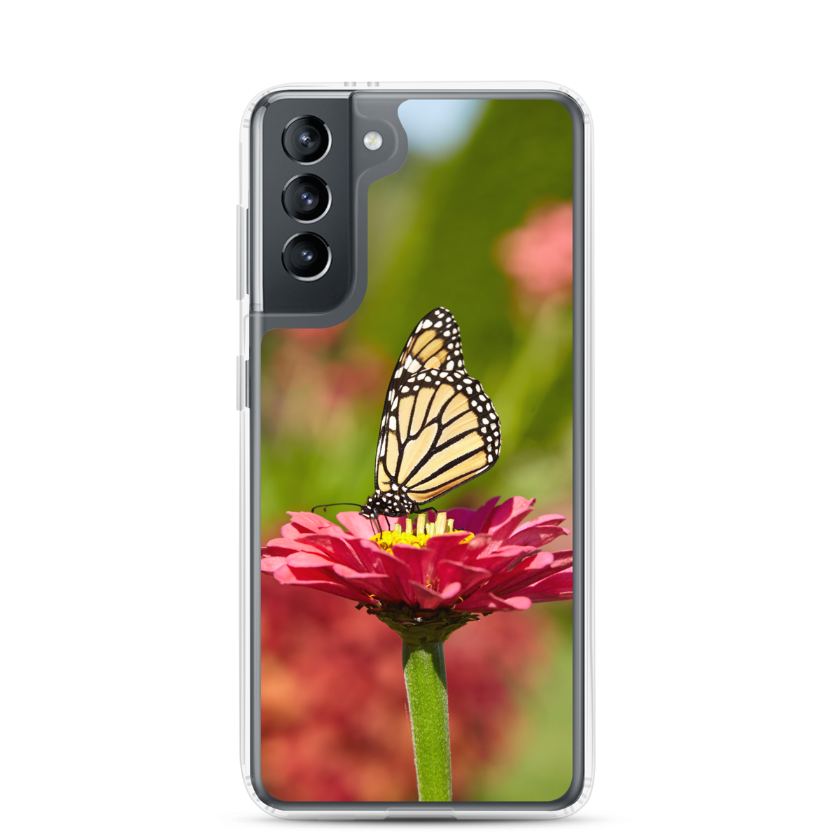 Monarch on Pink Zinnia Clear Case for Samsung
