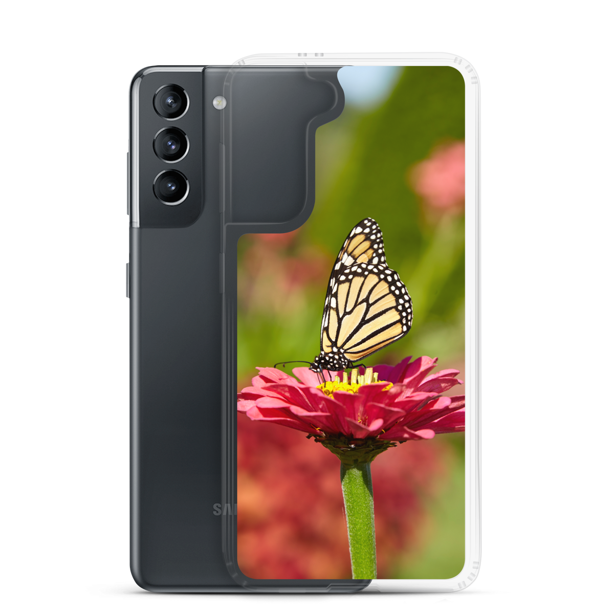 Monarch on Pink Zinnia Clear Case for Samsung