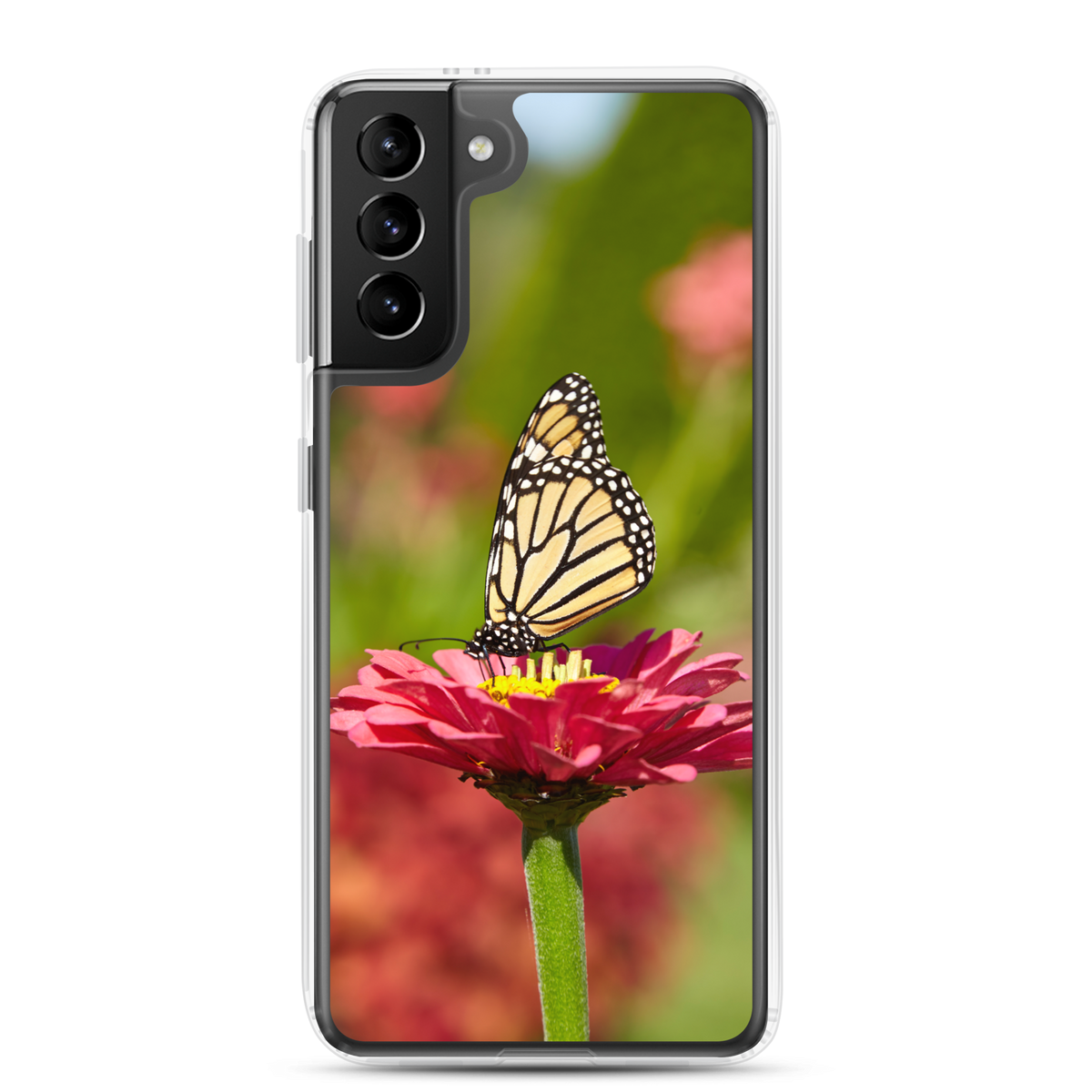 Monarch on Pink Zinnia Clear Case for Samsung