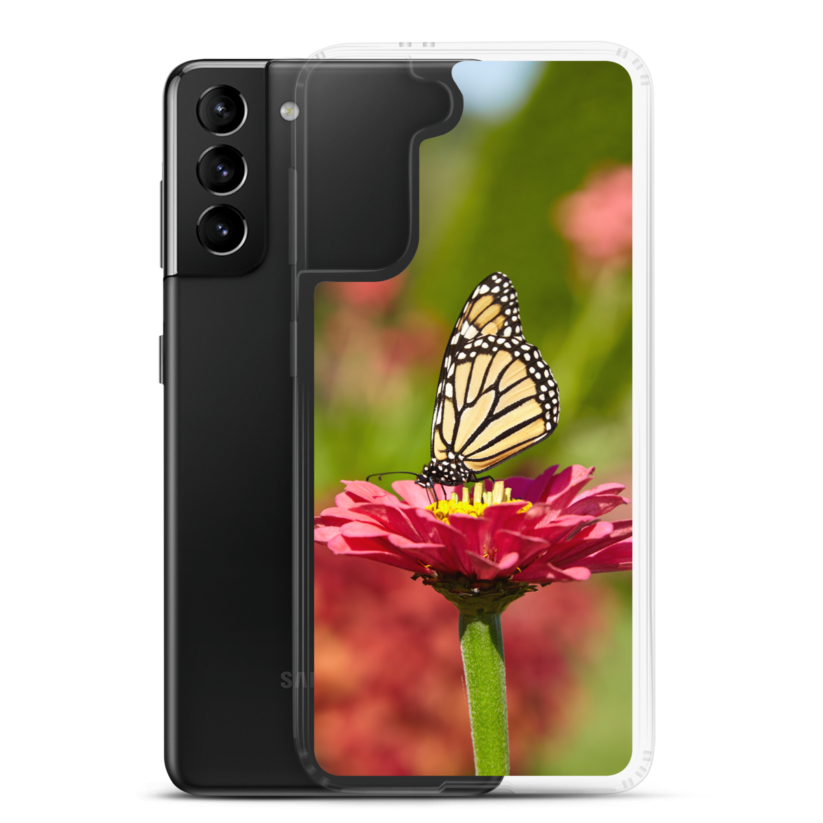 Monarch on Pink Zinnia Clear Case for Samsung