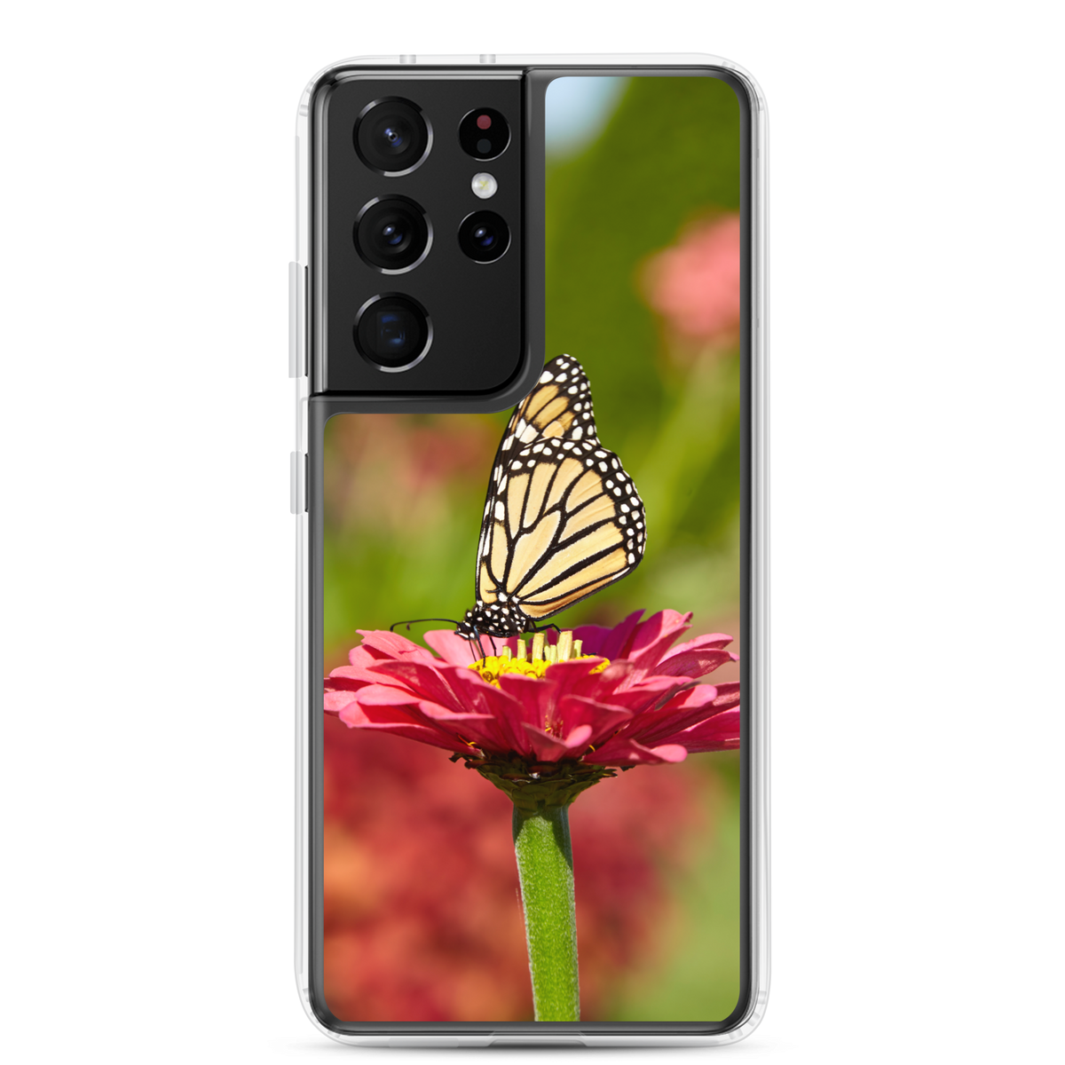 Monarch on Pink Zinnia Clear Case for Samsung