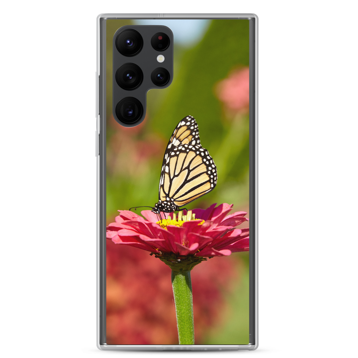 Monarch on Pink Zinnia Clear Case for Samsung