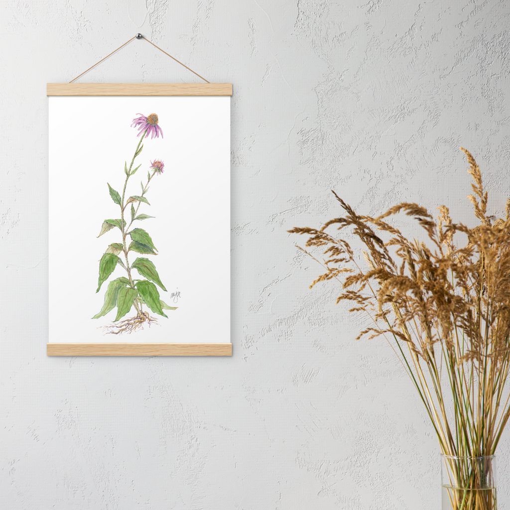 Coneflower Poster with Magnetic Wooden Hangers