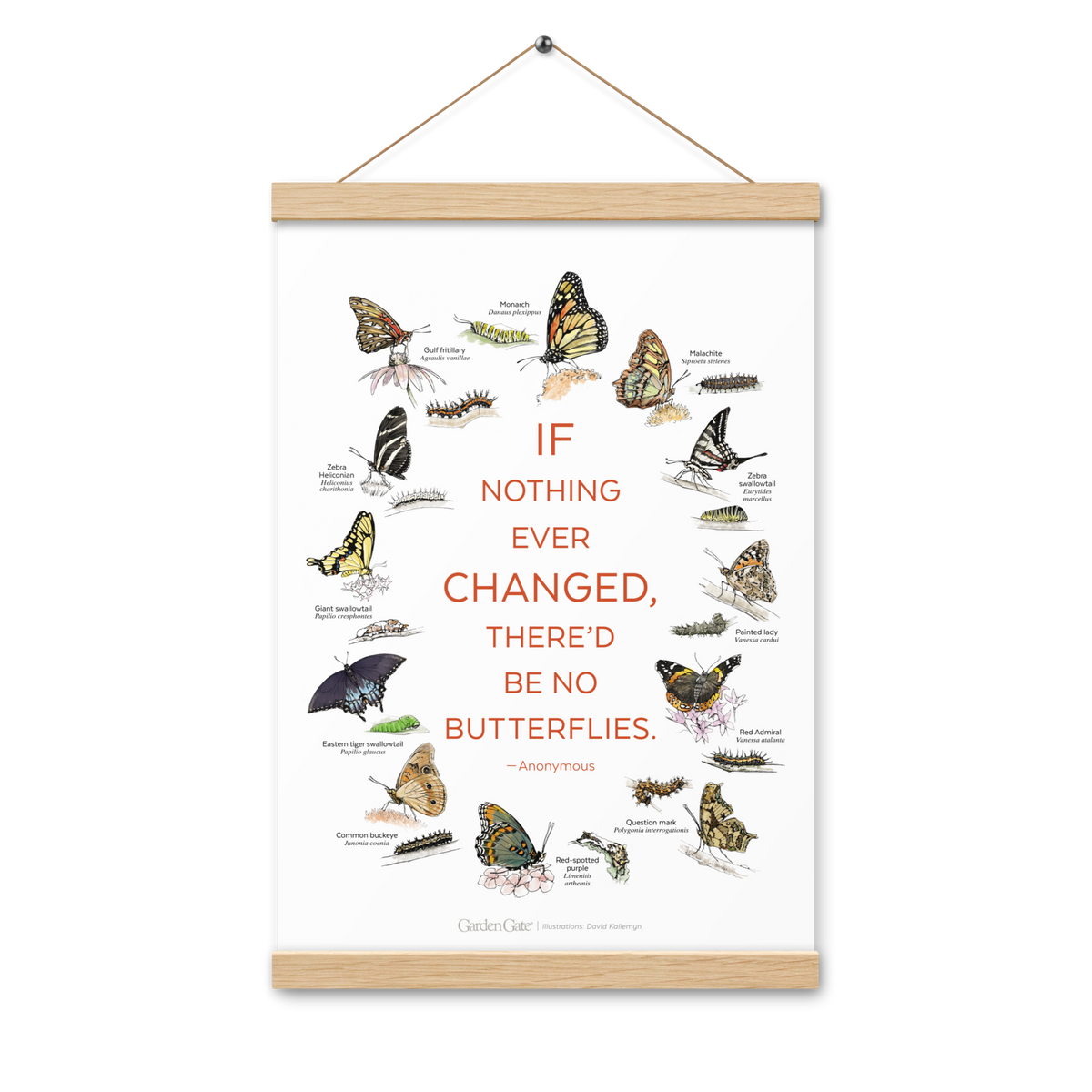Illustrated Butterfly Print with Magnetic Wooden Hangers 12x18 in
