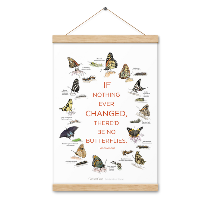 Illustrated Butterfly Print with Magnetic Wooden Hangers 12x18 in