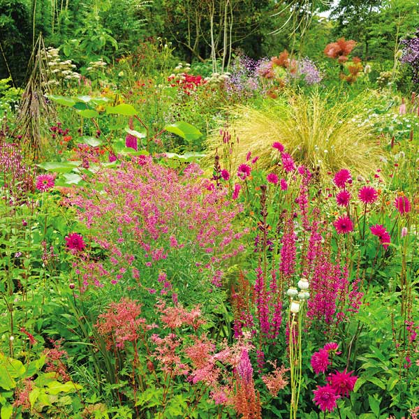 Scenic picture of Ireland in Bloom