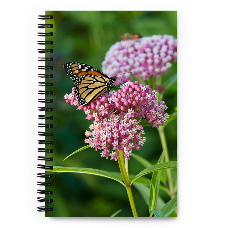 Monarch on Milkweed Spiral notebook