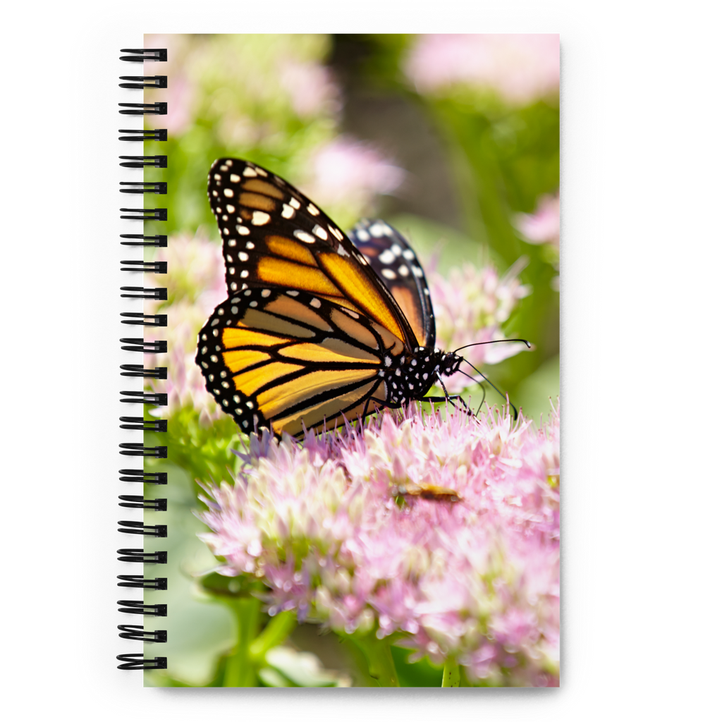 Monarch Butterfly on Sedum Spiral notebook