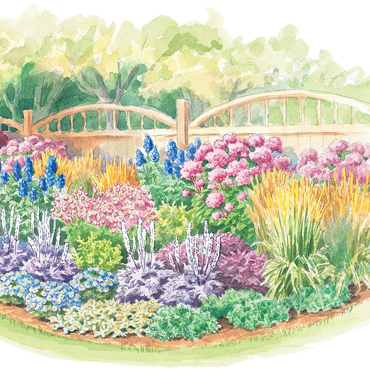 Pink and Purple Border Garden Plan