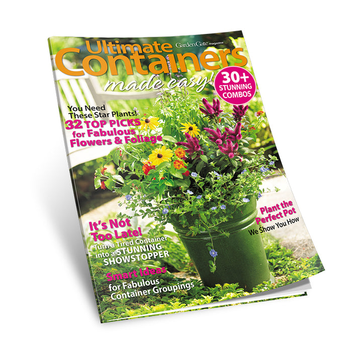 Ultimate Containers Made Easy: 30+ Stunning Combos