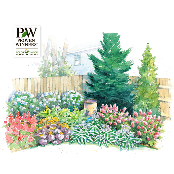 Easy-Care Backyard Border Garden Plan