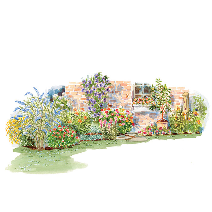 Butterfly Border Garden Plan