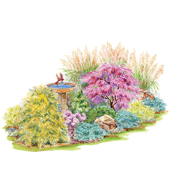 Color & Texture Garden Plan