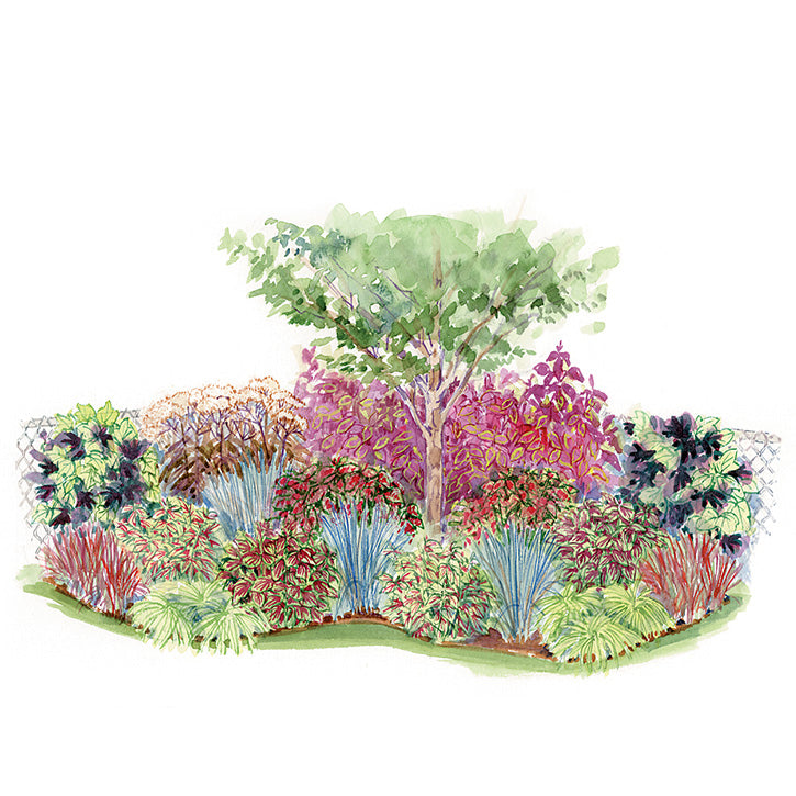 Colorful Corner Garden Plan