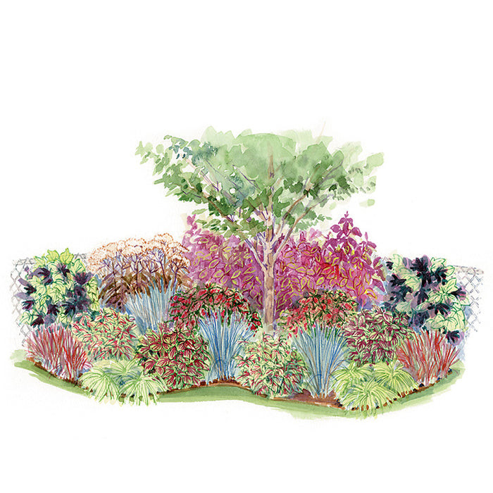 Colorful Corner Garden Plan