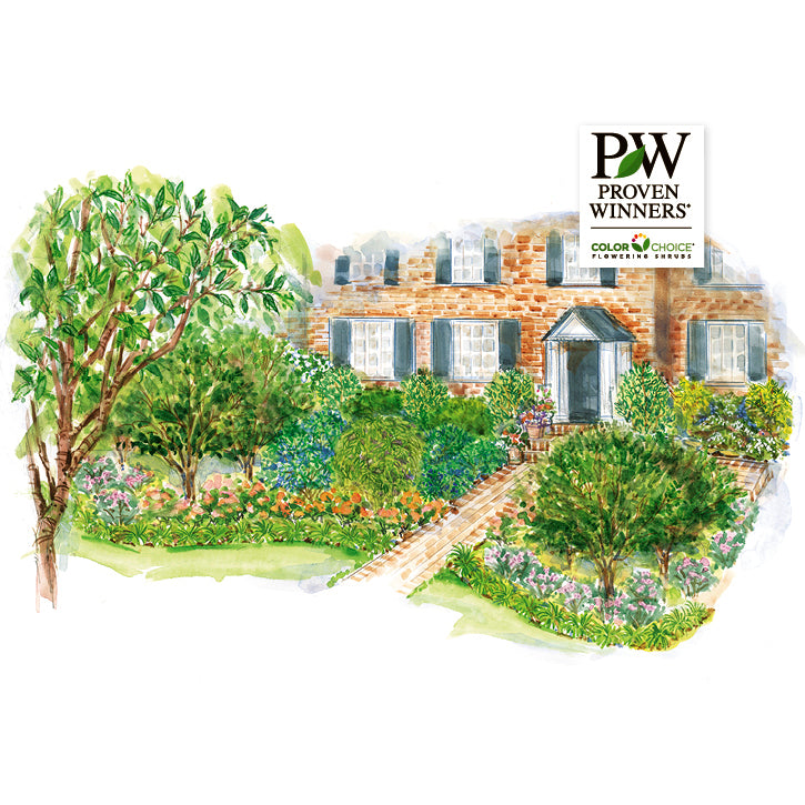 First Impressions Garden Plan