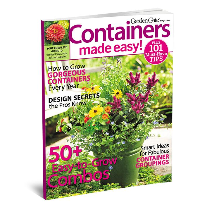 Containers Made Easy, Volume 6