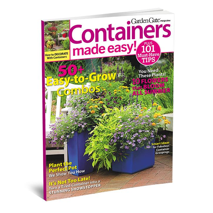 Ultimate Containers Made Easy: Decks, Patios and Entries