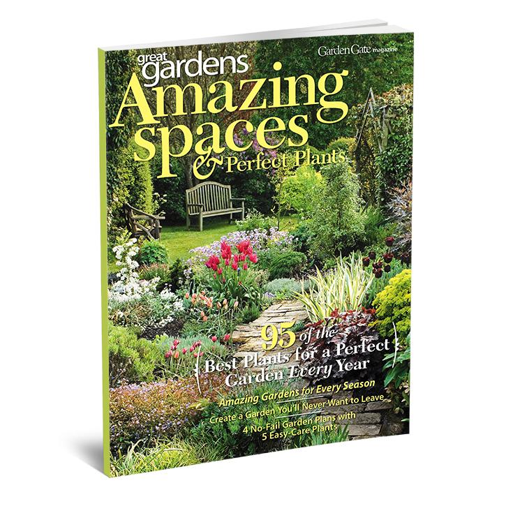 A Garden for All Seasons Garden Plan