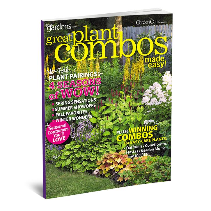 Great Plant Combos Made Easy, Volume 2