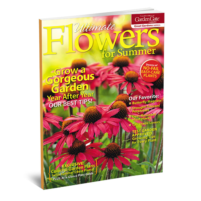 Ultimate Flowers for Summer