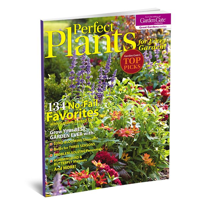 Perfect Plants for Every Garden