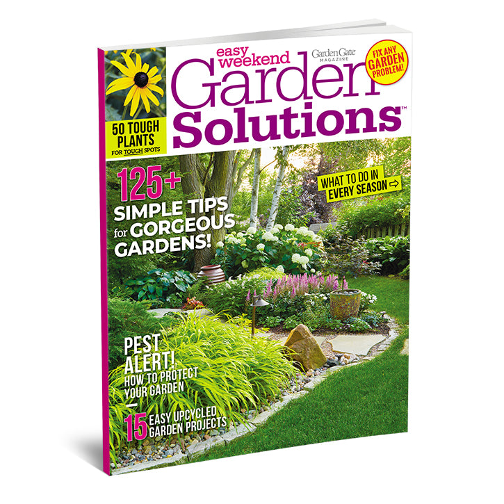 Great Gardens: Solutions for Small Spaces, Volume 1