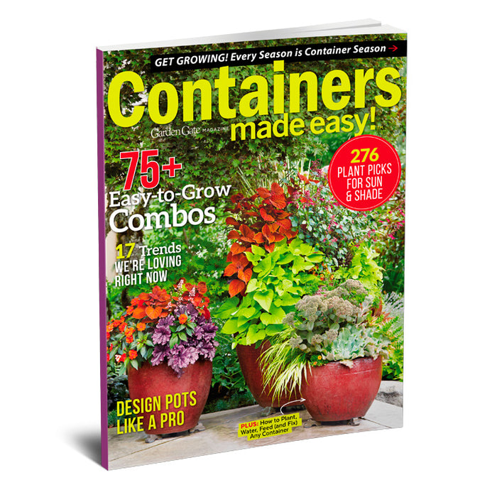 Containers Made Easy, Volume 5