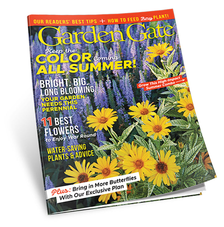 Garden Gate Magazine Single Issues