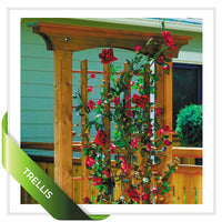 Classic Garden Projects SuperBundle: Garden Bench, Trellis, Arbor & More!
